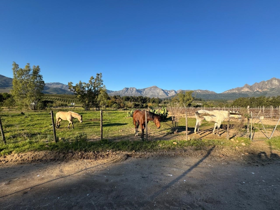 To Let Commercial Property for Rent in Bainskloof Western Cape